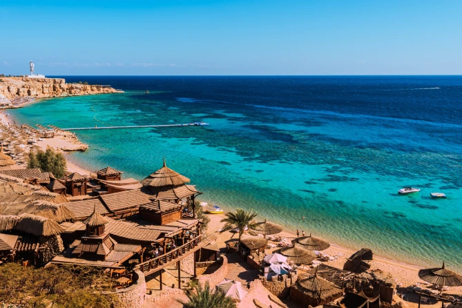Divers exploring coral reefs under the Red Sea in Sharm El Sheikh