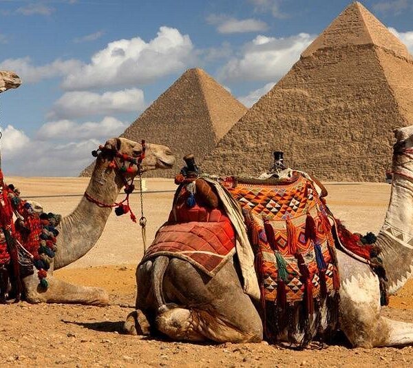 Cairo Day Trip from Luxor by Flight | Private VIP 1 Day