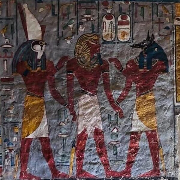 4-Days Nile Cruise from Aswan to Luxor | Private VIP Full Board