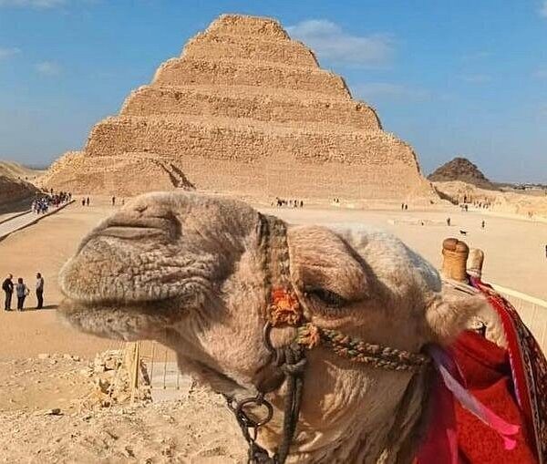 Giza Pyramids and Saqqara tour with Boat Ride | Private VIP 8h