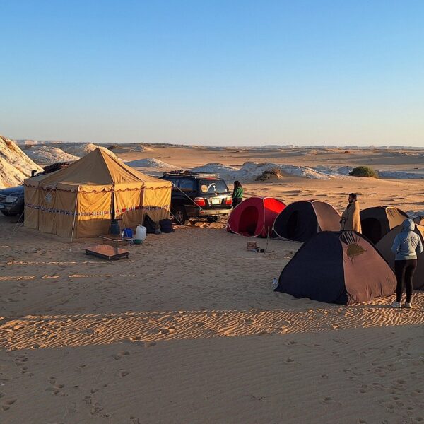 White Desert and Black Desert | Epic 2-Day Private Safari