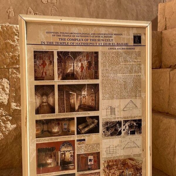 Private Day Tour to Luxor Highlights | Exclusive VIP 8 Hours