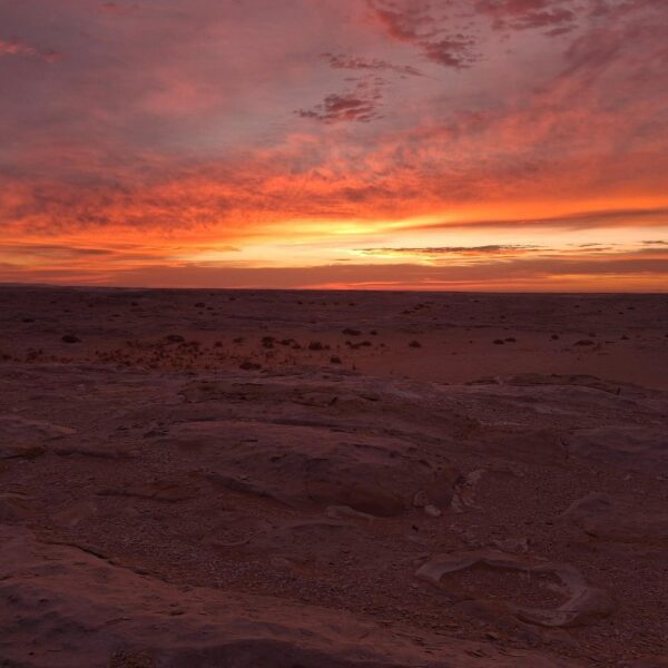 Day trip to Bahariya Oasis and white desert from Fayoum | 4x4 Epic Day