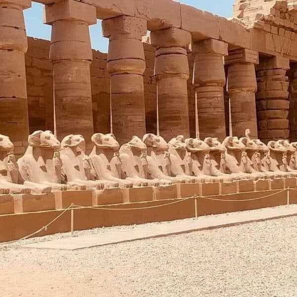 Private Day Tour to Luxor Highlights | Exclusive VIP 8 Hours