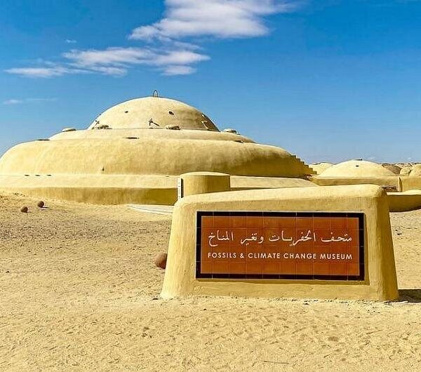 3 Day Trip to Fayoum oasis from Cairo | Premium Eco Safari