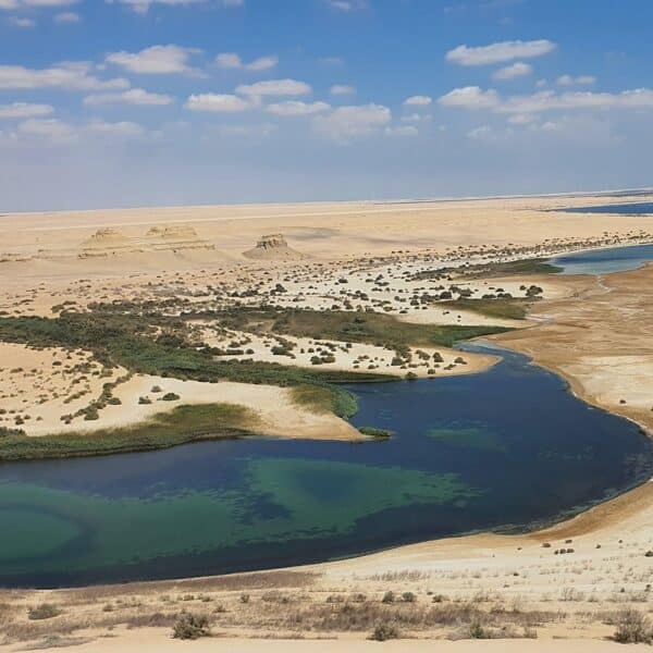2 Day Camping trip in Fayoum from Cairo | Immersive Desert Sleepout