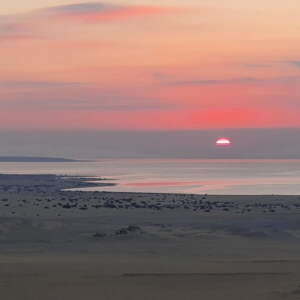 3 Day Trip to Fayoum oasis from Cairo | Premium Eco Safari